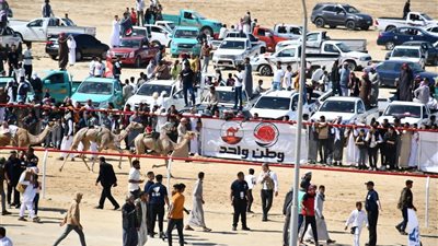 وزيرة التضامن تفتتح سباق الهجن بالعريش