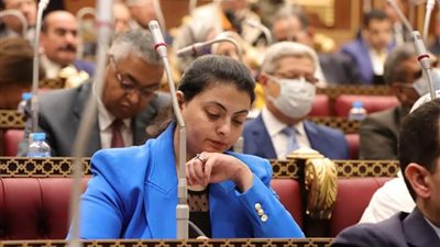 النائبة هند جوزيف تشيد بجهود الرئيس السيسي فى عودة الجالية المصرية بالسودان 