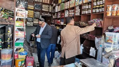 محافظ كفر الشيخ: تحرير 79 محضر لأصحاب المحال التجارية والمخابز 