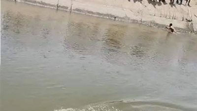 طفلة تلقى حتفها غرقًا في ملوي والنيابة تباشر التحقيقات