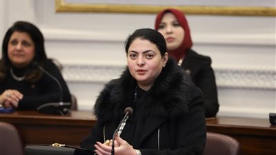 النائبة هند جوزيف تشيد بانطلاق أولى جلسات الحوار الوطنى 