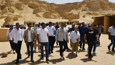 «الزراعة» تعلن تنفذ المرحلة الأولى من مبادرة 100 مليون شجرة في 8 محافظات