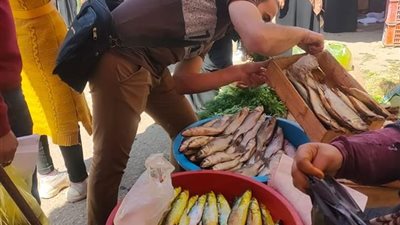 خلال حملاتها المكثفة.. صحة الشرقية تعدم 3 طن من الأغذية الفاسدة 