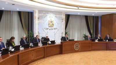 مجلس الوزراء يحدد سعر ضمان لتوريد القطن للعام الحالي