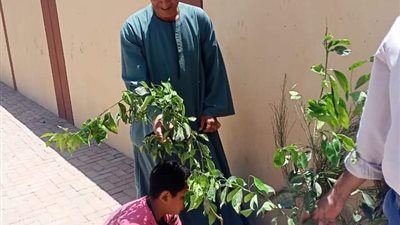 ضمن مبادرة 100 مليون شجرة .. محافظ أسيوط يتابع أعمال التشجير بمركز ديروط