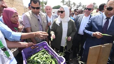 صور.. وزيرة التضامن الاجتماعي تتفقد الحقول الإرشادية والصوب الزراعية بالمنيا 