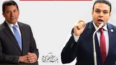 النائب عبد المنعم إمام يعلن استجواب وزير الشباب والرياضة