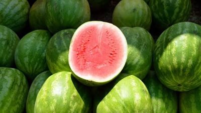 حقيقة وجود بطيخ مسرطن.. مجلس الوزراء يوضح وخبراء يعلقون