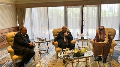 وزير الخارجية يشارك في مجموعة الاتصال العربية لدعم السودان