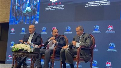 وزير المالية يلتقي مجلس الأعمال المصري الكندي لتحفيز الاستثمارات
