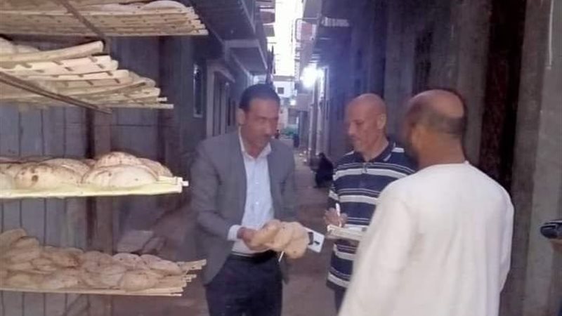 محاضر المنيا