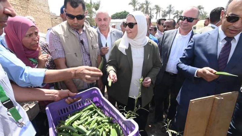 وزيرة التضامن الاجتماعي