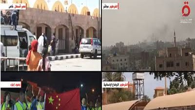 ضبط شبكات إجرامية لتزوير تأشيرات الدخول لمصر ودول الجوار