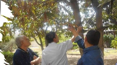 جامعة القناة تتوجه بحملات طبية وزراعية إلى دار ضيافة كبار السن بالإسماعيلية