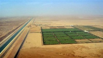 تخصيص أكثر من 200 ألف فدان للاستصلاح والاستزراع