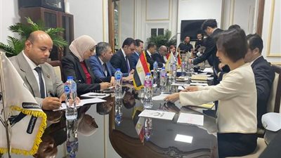 تنسيقية شباب الأحزاب تلتقي وفدًا صينيًا لبحث سبل التعاون