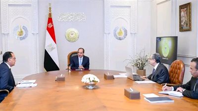 الرئيس السيسي يوجه باستمرار تطوير قطاع الكهرباء وتحسين الخدمات المقدمة للمواطنين