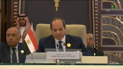 السيسي: مستعدون لإرسال وفد من الأزهر لتدريب الأئمة في موزمبيق