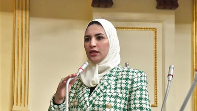 نشوى رائف: مصر تضع ضمن أولوياتها تعزيز حجم التبادل مع دول إفريقيا