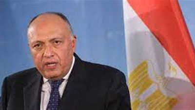 شكرى يستقبل المنسق الأممي للسلام في الشرق الأوسط .. ويدعو لوقف التصعيد بفلسطين