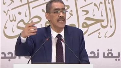 ضياء رشوان: قرار الرئيس له أثر كبير على قلوب المصريين وذوي أصحاب المقابر