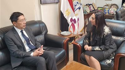 سفير سنغافورة:  مصر أحرزت تقدمًا في تنفيذ أول استراتيجية وطنية لتمكين المرأة