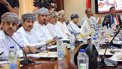 اتفاق إعلامي مصري عماني على تطوير التعاون في ظل تحديات الذكاء الاصطناعي