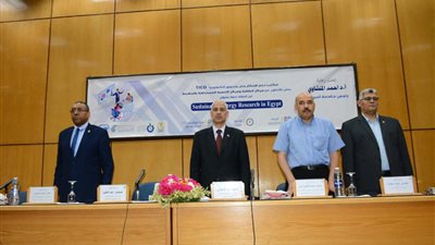 الطاقة الدائمة في مصر.. ندوة علمية بجامعة أسيوط تستعرض التحديات والفرص