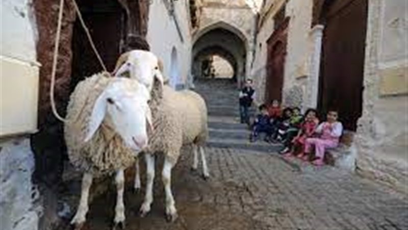 عيد الأضحى