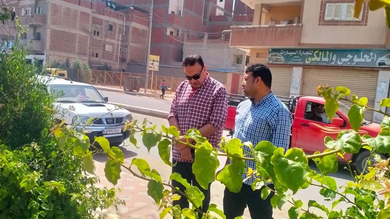 جهود محافظة البحيرة
