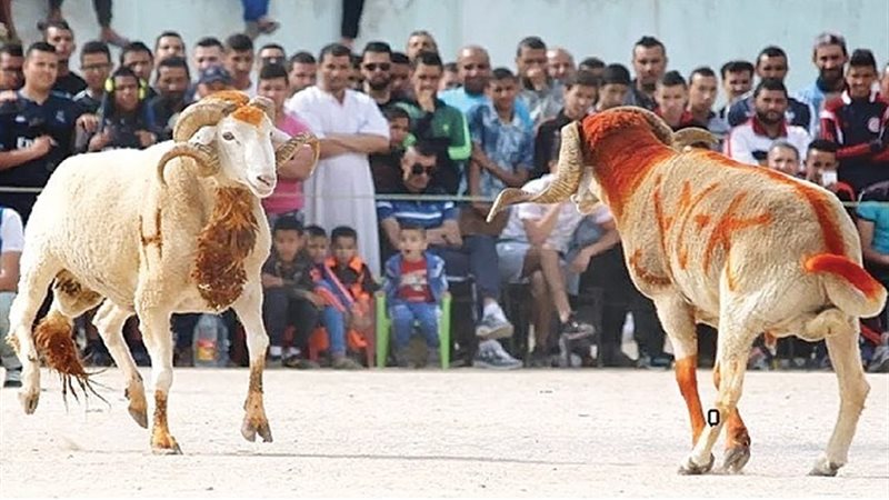 اغرب احتفالات عيد