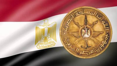 المتحدث العسكري يكشف تفاصيل واقعة قتل مواطنة بالقاهرة الجديدة