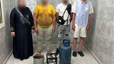 القبض على 4 متهمين.. وزارة الداخلية تكشف عن ملابسات واقعة مونوريل