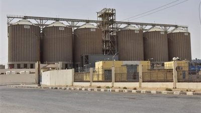 توريد 137 ألف طن قمح محلي للشون والصوامع في أسيوط 
