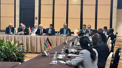 مصر تتعهد بدعم السودان في مواجهة الأزمة وتسهيل المساعدات الإنسانية
