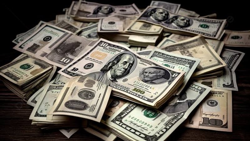 أسعار الدولار خلال