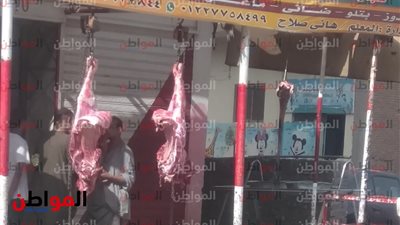 300 جنيه للكيلو.. انخفاض في أسعار اللحم اليوم بأسواق المرج
