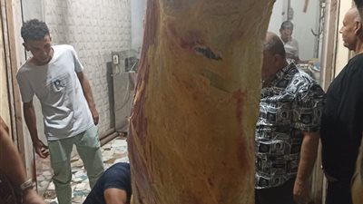 ضربة قوية للرقابة التموينية.. ضبط ذبيحة مريضة بأحد محلات الجزارة 