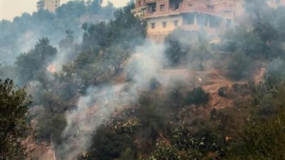 من بينهم جنود الشرطة.. ارتفاع ضحايا حرائق الغابات بالجزائر إلى 34 متوفي