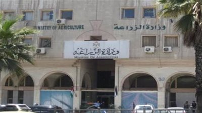 منذ بداية تعيينهم.. 312 موظف بـ الزراعة لم يتقاضوا أجورهم 