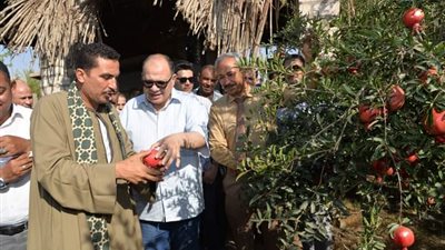 محافظ أسيوط يزور مزارع الرمان ويعلن عن مشروعات تنموية ضخمة