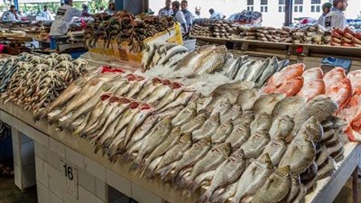 البلطي ب90 جنيه.. ارتفاع أسعار السمك بأسواق أسيوط اليوم الأحد 