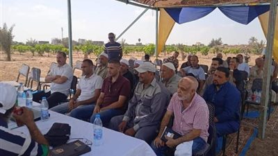 للارتقاء بمحصول المانجو.. زراعة الشرقية وبحوث وقاية النبات ينظمان ندوة إرشادية ببلبيس