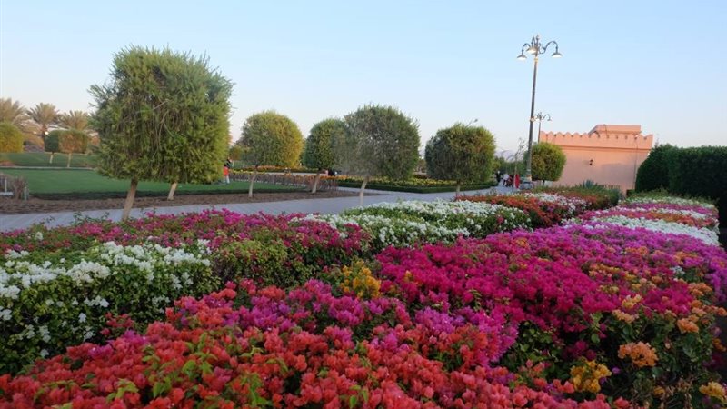 عمان تسعى لتصدير
