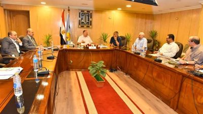 محافظ أسيوط يلتقي رئيس مجلس إدارة شركة الوجه القبلي لإنتاج الكهرباء