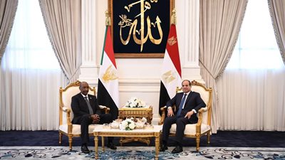 السيسي يؤكد استمرار دعم مصر للسودان خلال أزمتها الراهنة