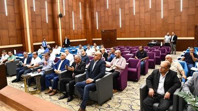  لسداد مديونات الكهرباء.. لقاء موسع بين محافظ سيناء وممثلي القطاع السياحي