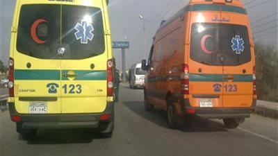 «ضربه بمقص».. مصرع شخص طعناً على يد جاره بسبب خلافات مالية بالمنيا 