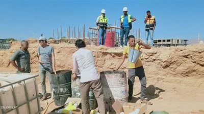 مكافحة النمل الأبيض بمدينة شرم الشيخ