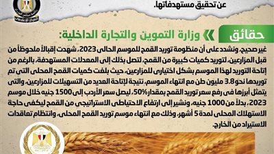 الحكومة تنفي شائعة عجز منظومة توريد القمح المحلي عن تحقيق مستهدفاتها